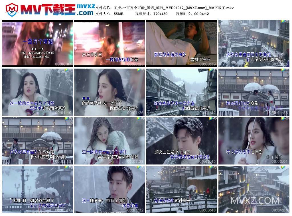 王虎-一百万个可能_国语_流行_MED01012